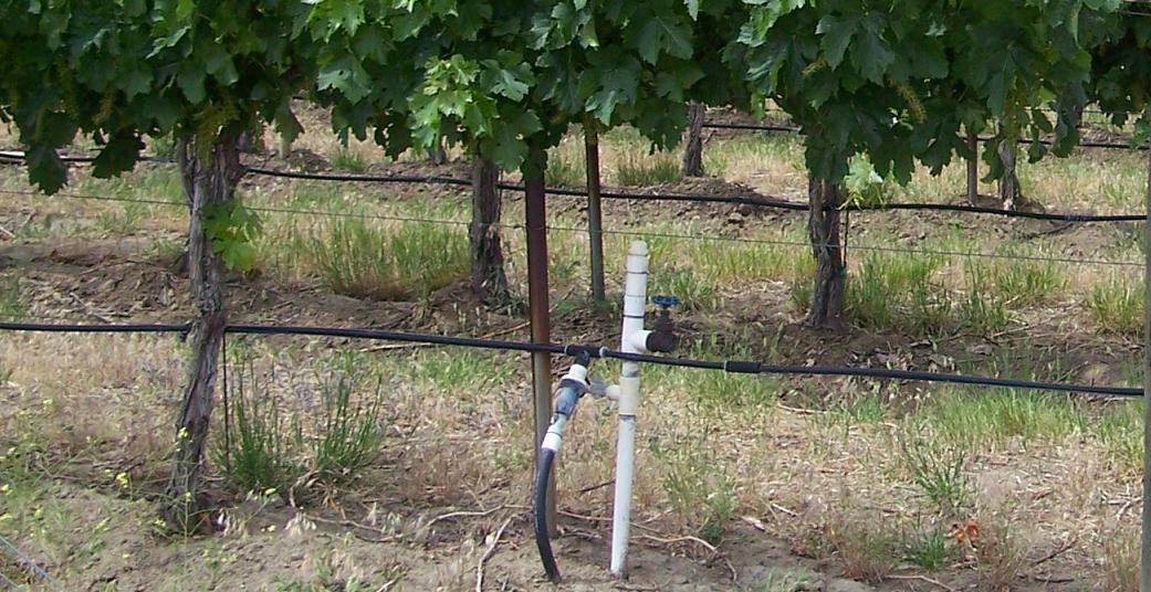 Drip_irrigation_system